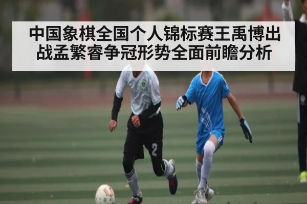 中国象棋全国个人锦标赛王禹博出战孟繁睿争冠形势全面前瞻分析（kaiyun）