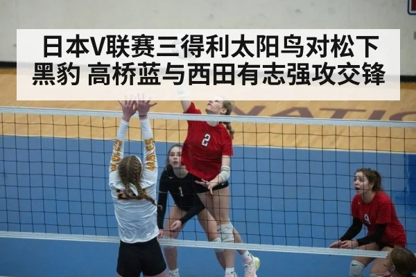 日本V联赛三得利太阳鸟对松下黑豹 高桥蓝与西田有志强攻交锋（kaiyun）